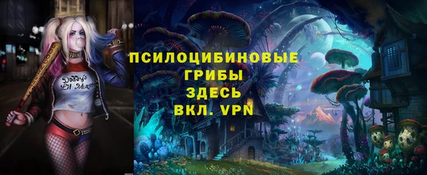 тгк Кулебаки